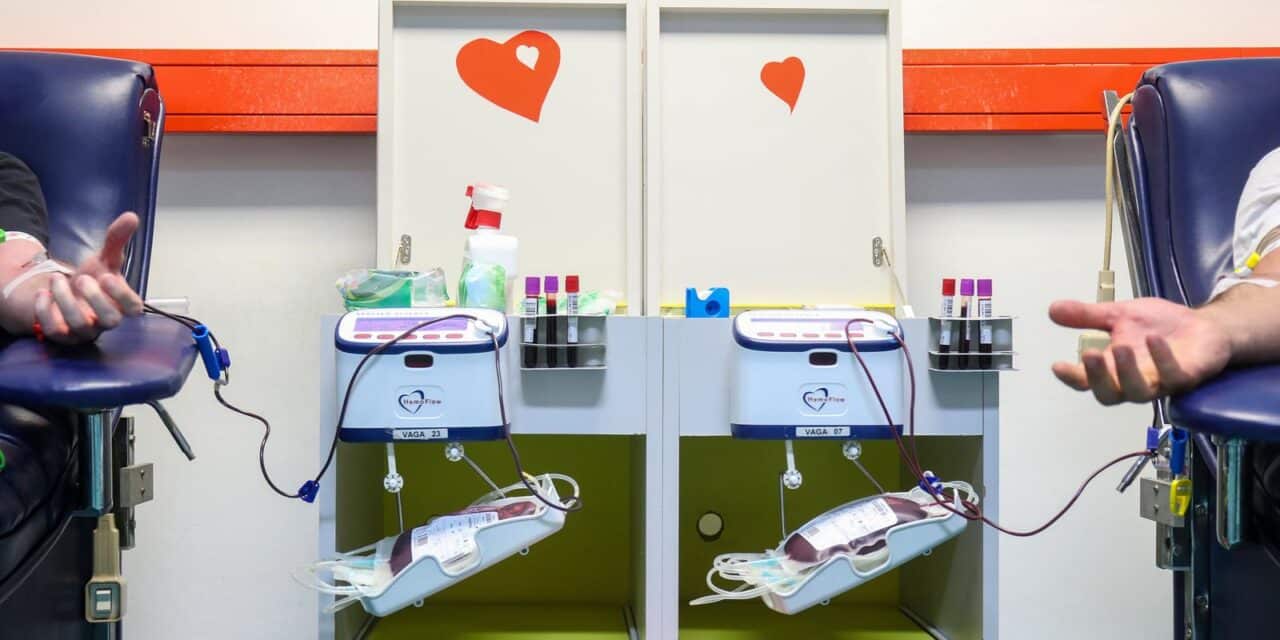 Zagreb: Dobrovoljno darivanje krvi, koje se održava u suradnji s LMF Festivalom