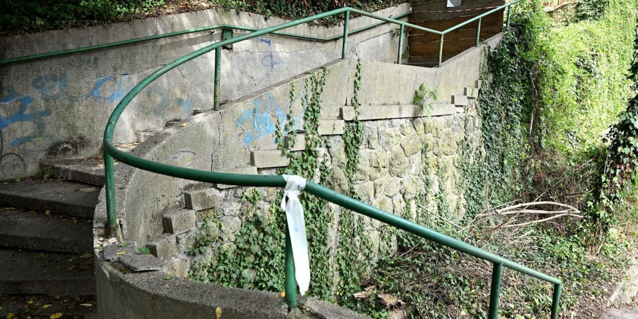 Zagreb: Zamenhofove stube neprohodne zbog palog drveća i rasvjetnog stupa
