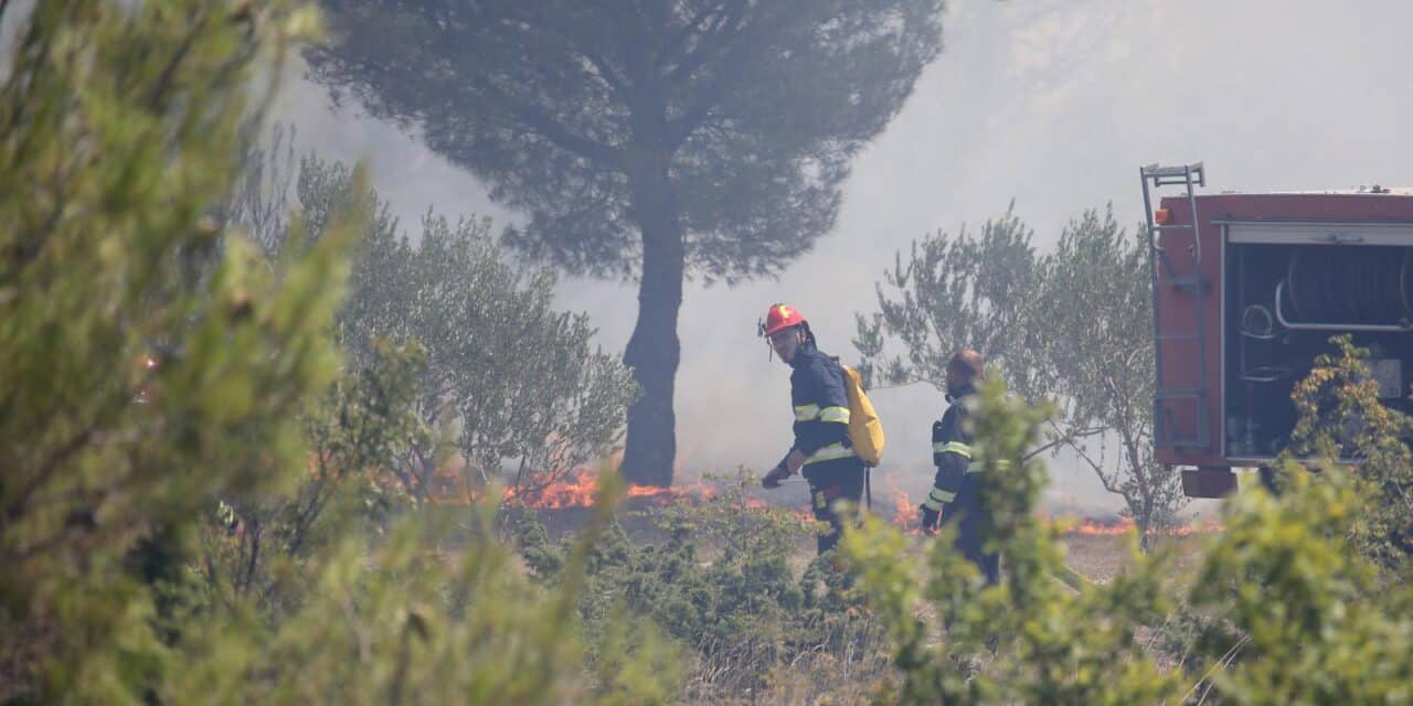 Veliki požar u zaleđu Skradina, gase ga brojni vatrogasci i četiri kanadera