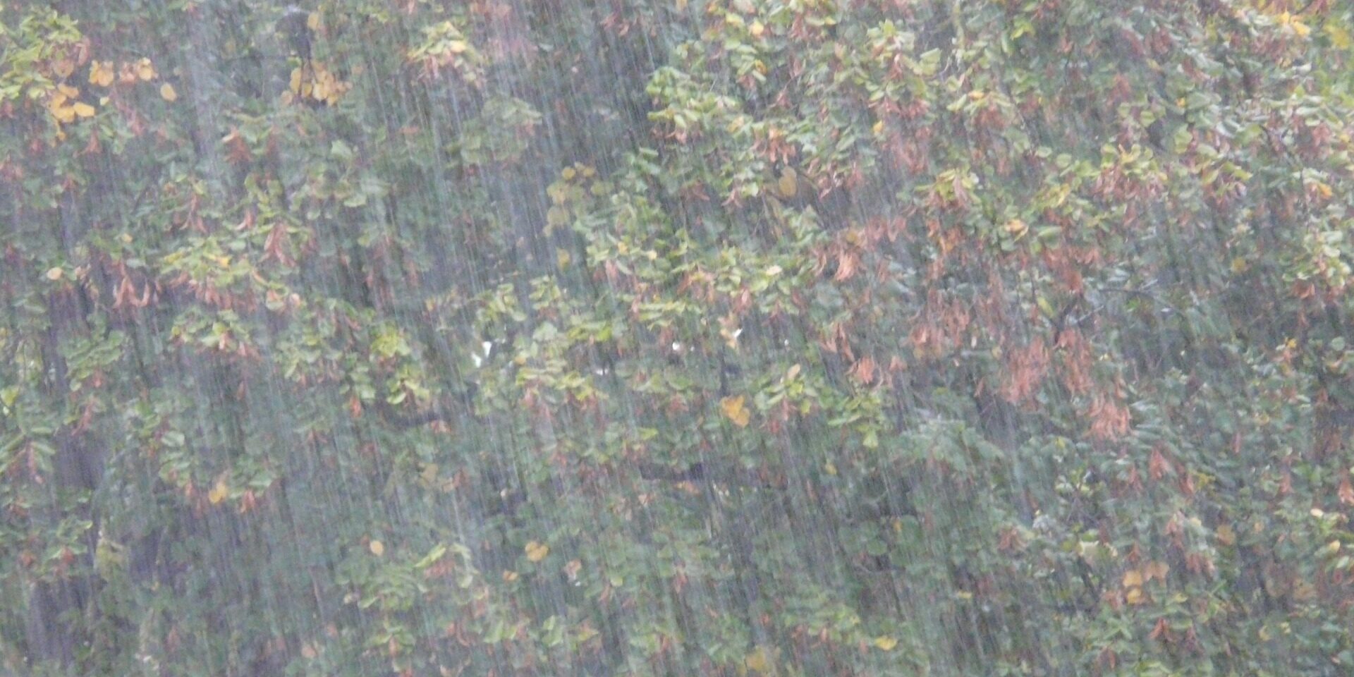 downpour-61924_1920