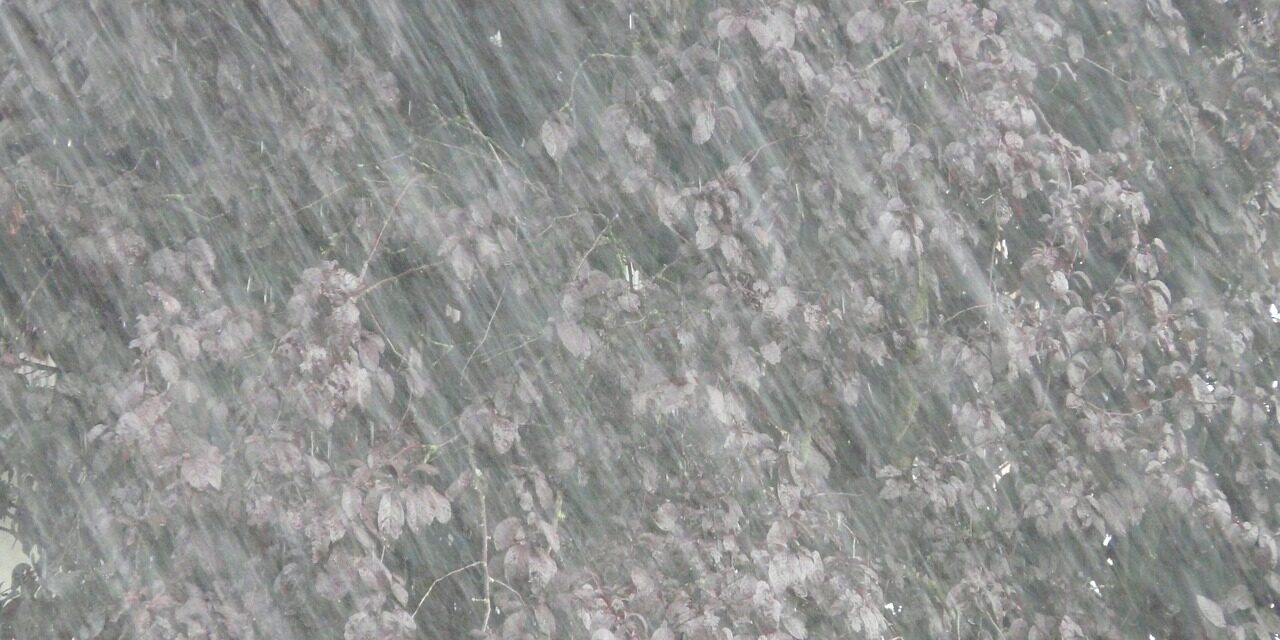 downpour-8823_1280