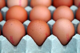 eggs-7570512_1920