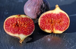 figs-1620590_1920