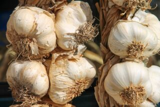 garlic-3747176_1920