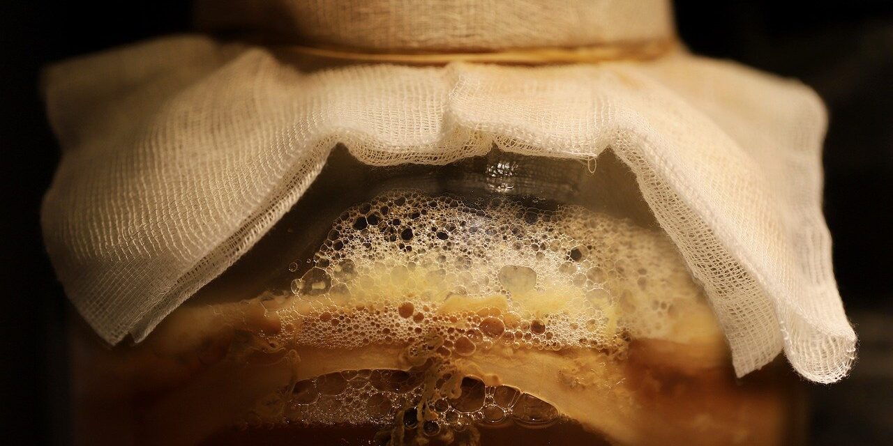 kombucha-8478515_1280