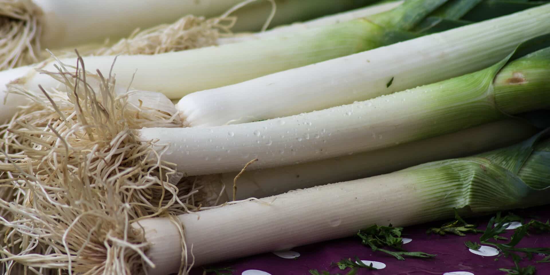 leeks-3776668_1920