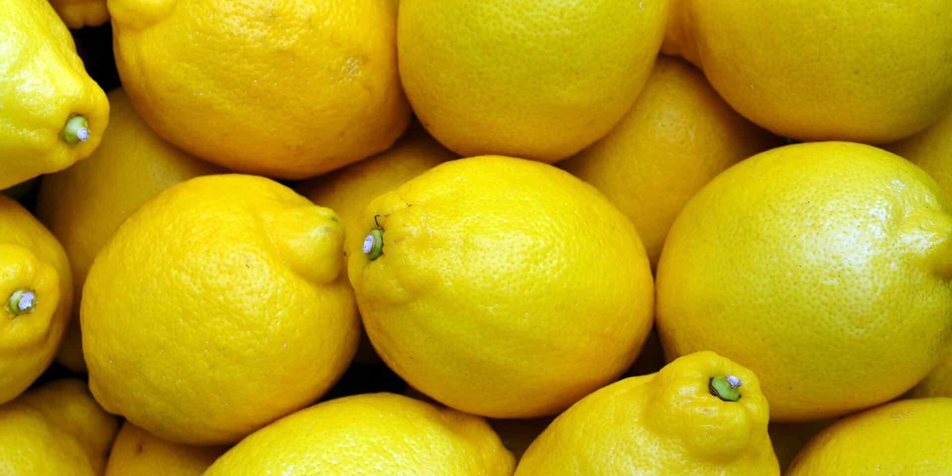 lemons-2039830_1920