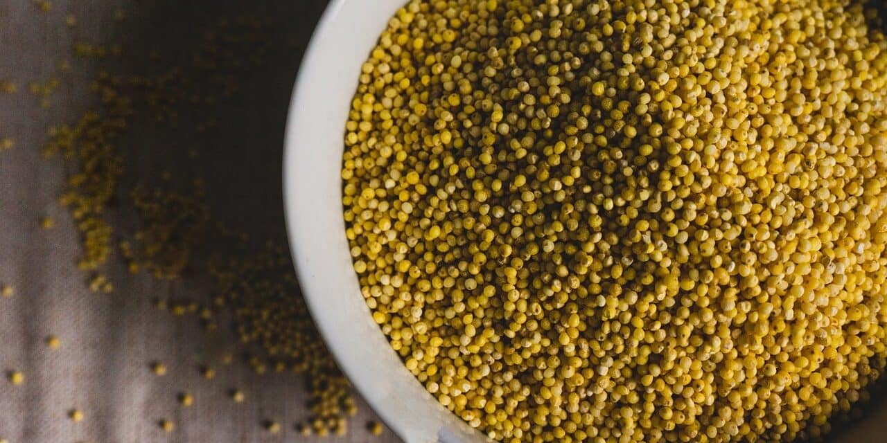 millet-7566575_1280