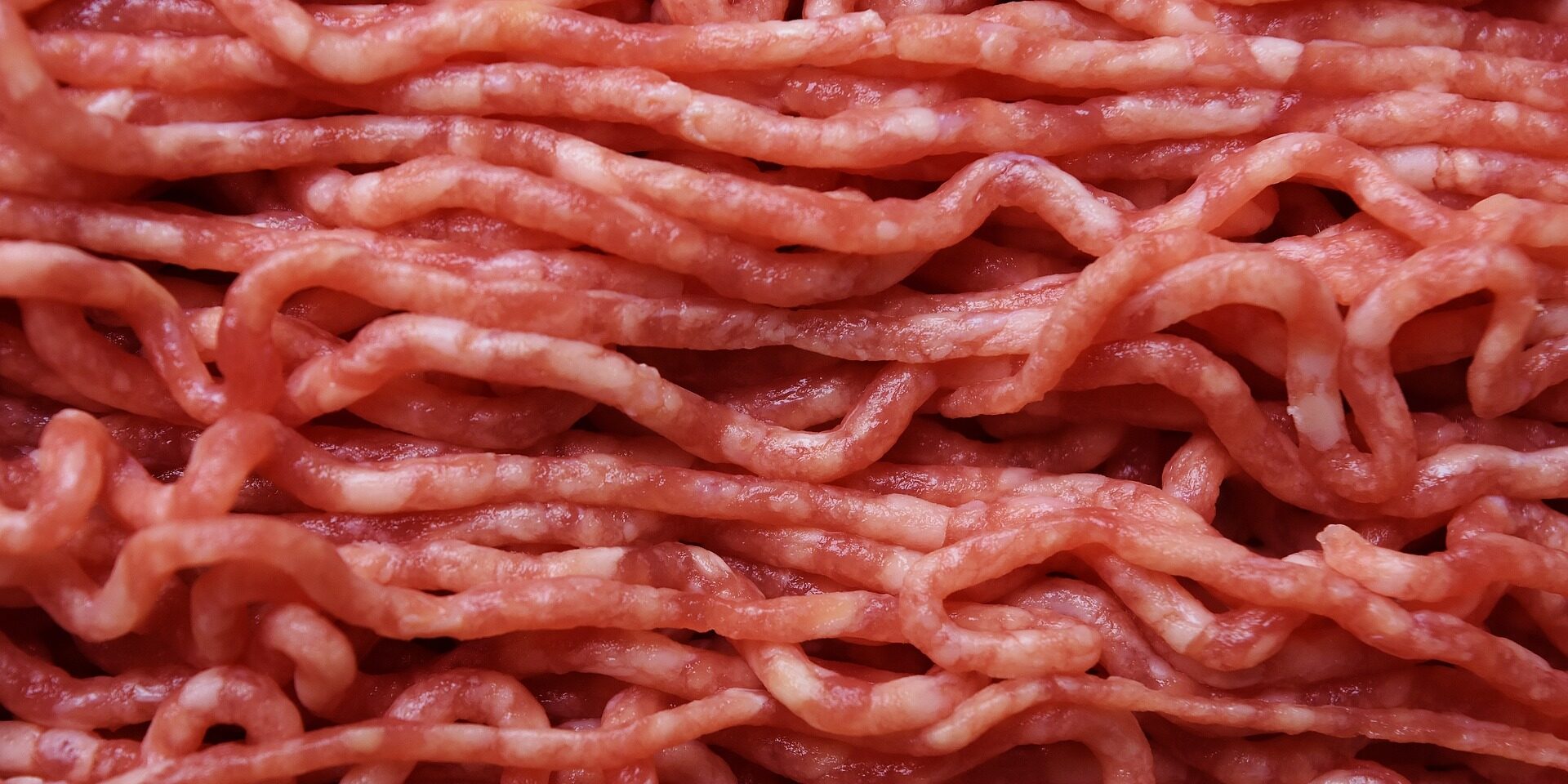 minced-meat-1747909_1920