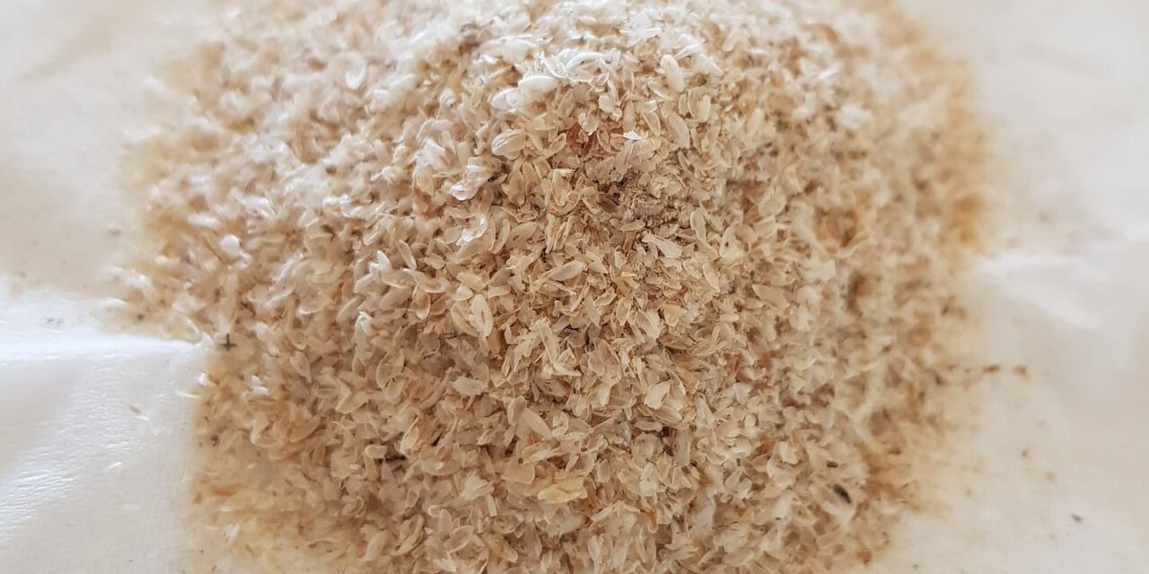 psyllium-husk-4359307_1920
