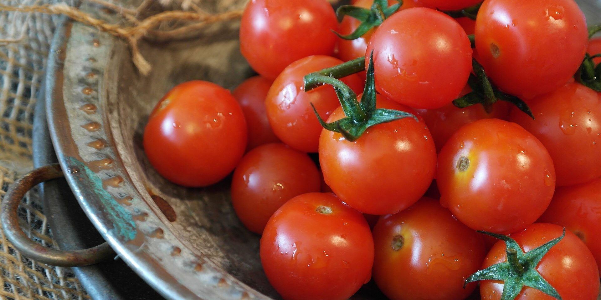 tomatoes-2559809_1920