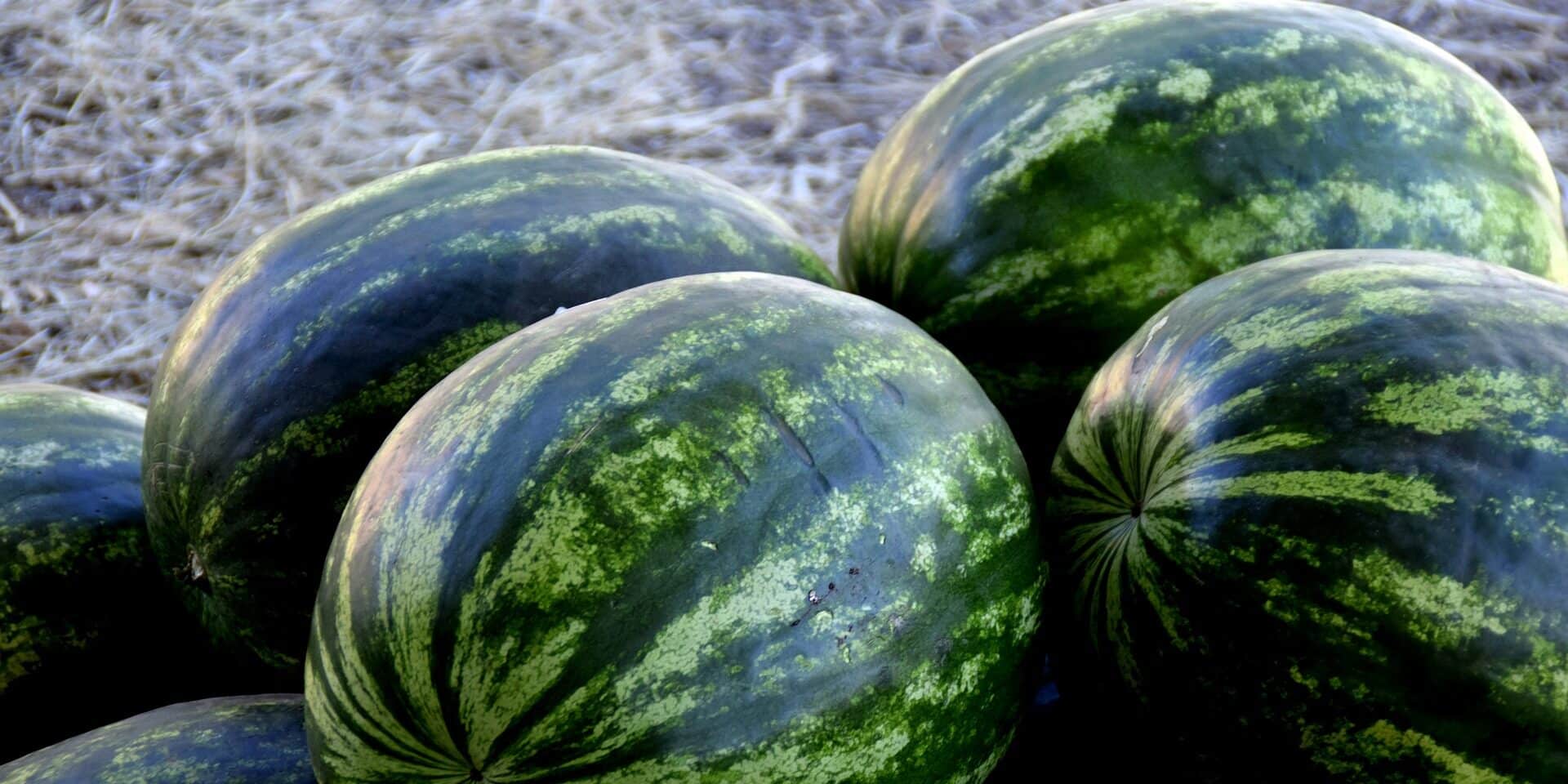 watermelon-1077677_1920