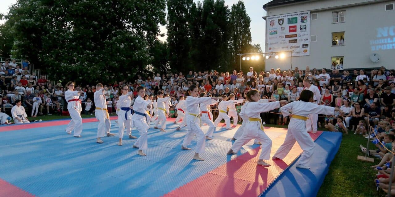 U Velikoj Gorici odr�ana No? borila?kih sportova