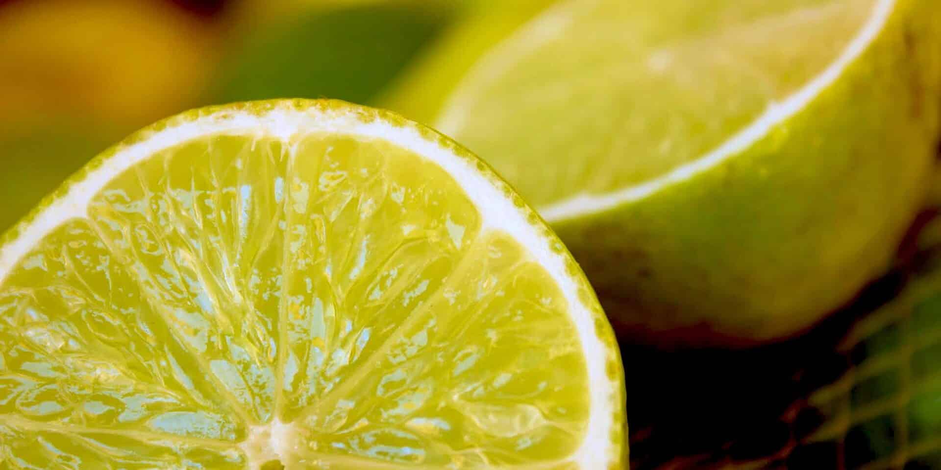 lemon-6231697_1920