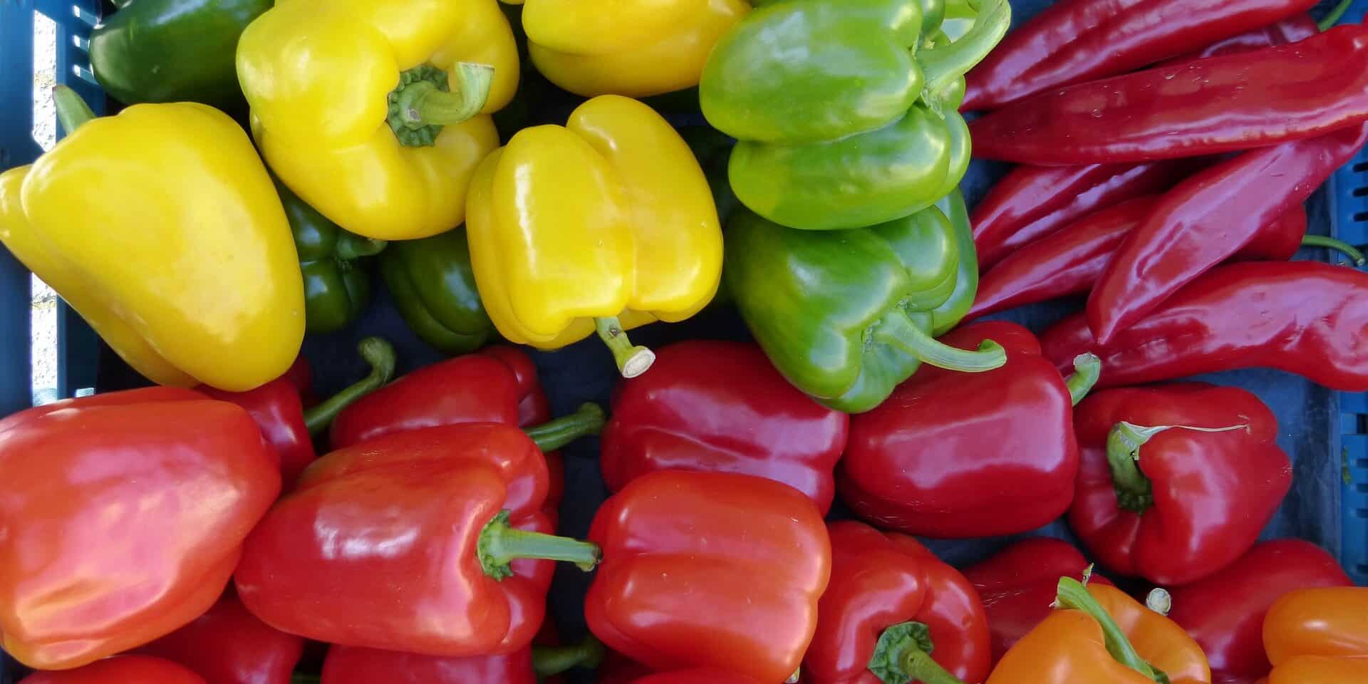market-68787_1920