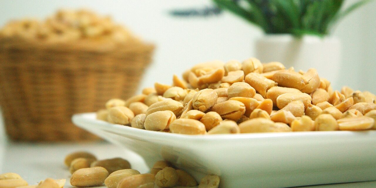 peanut-624601_1280