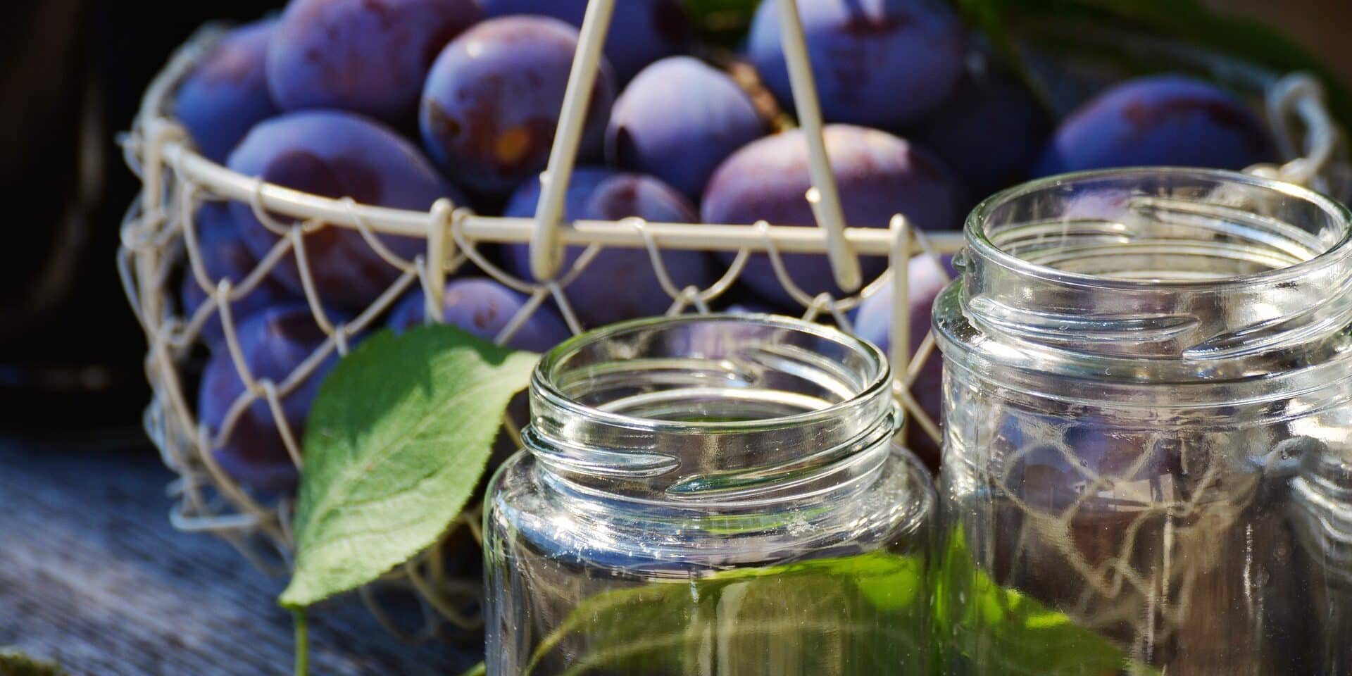plums-1649293_1920
