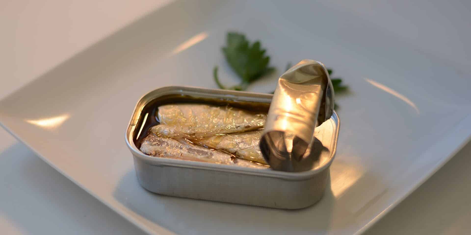 sardines-825606_1920