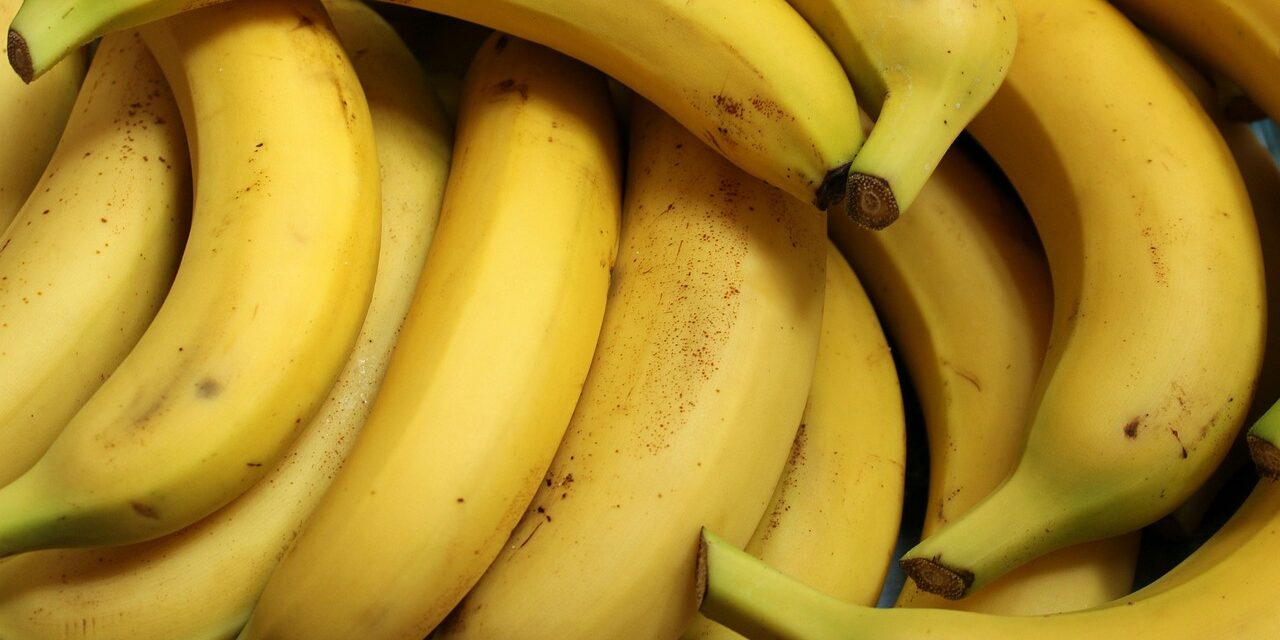 bananas-3700718_1280