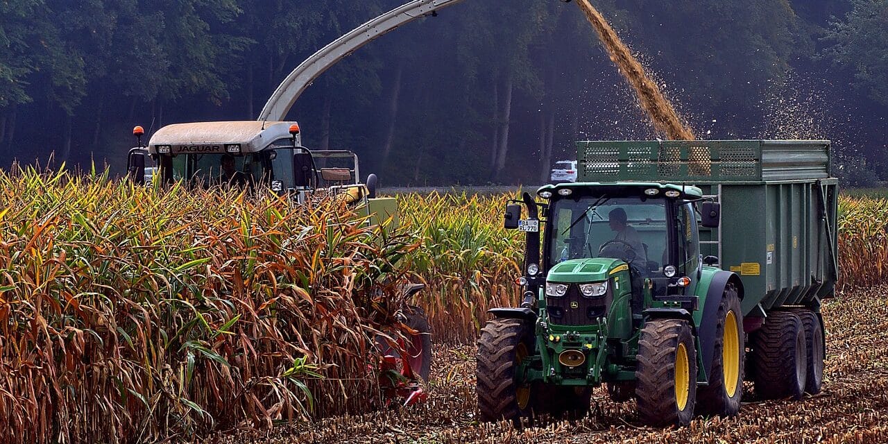 corn-harvest-5596982_1280