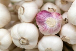 garlic-84691_1280