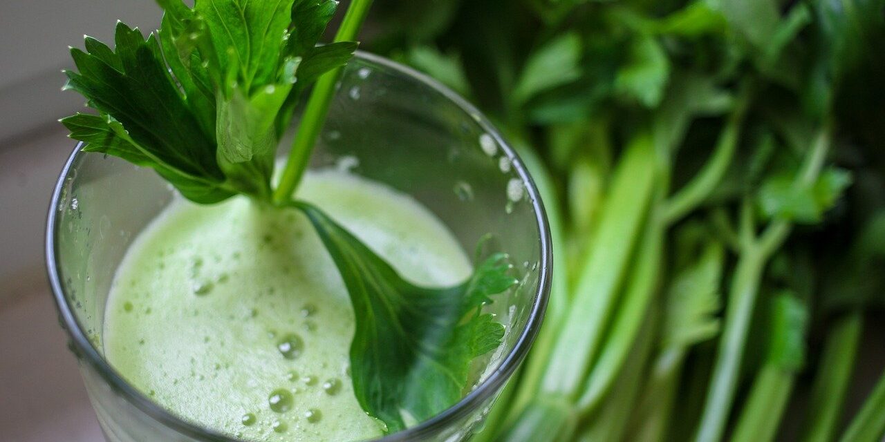 green-8618892_1280