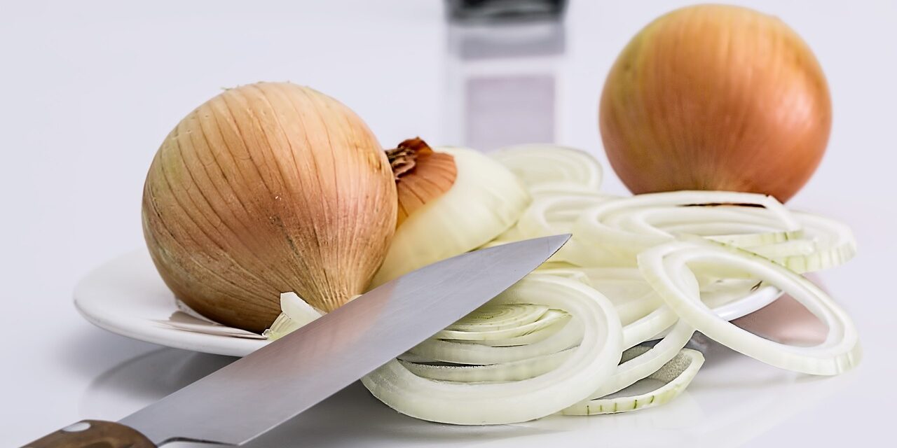 onion-647525_1280
