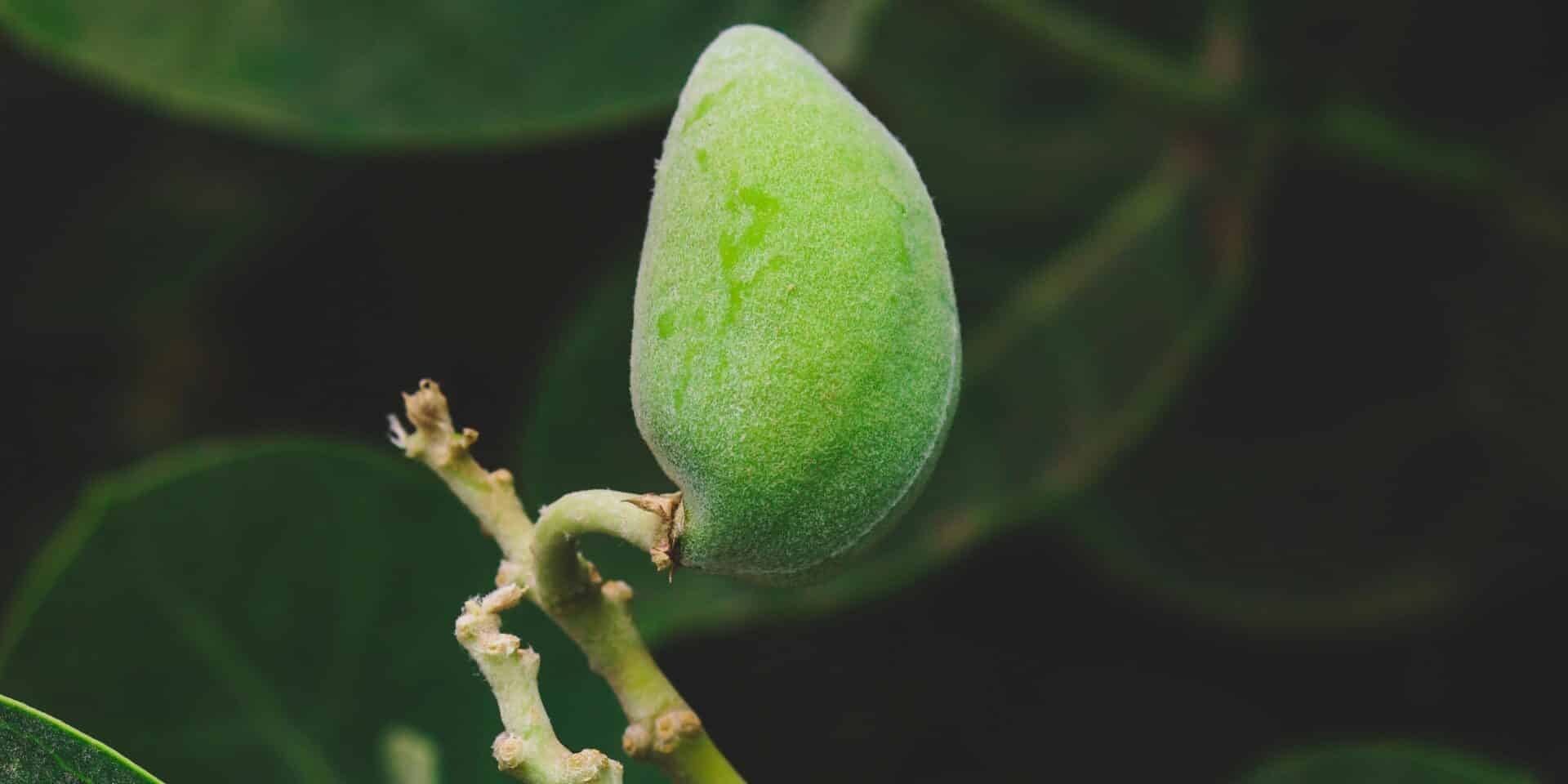 pexels-sid-mirza-154798538-12695145