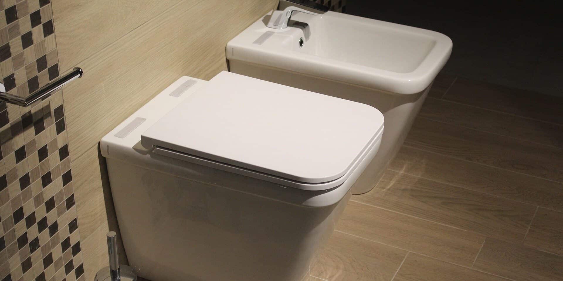toilet-1284608_1920