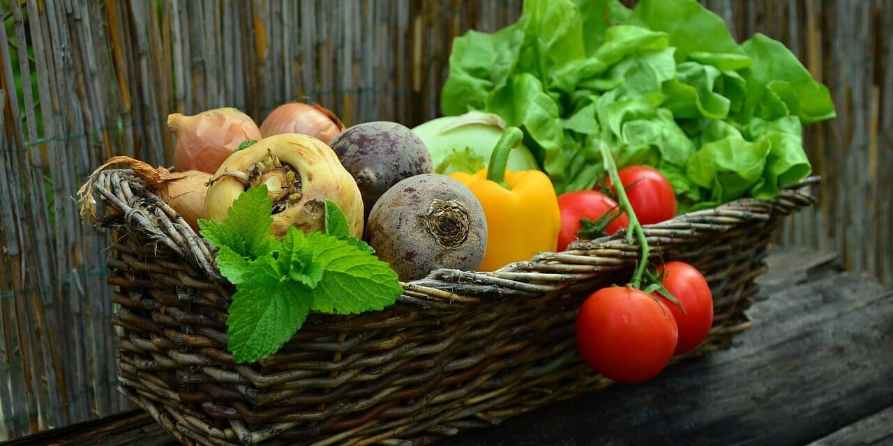vegetables-752153_1280