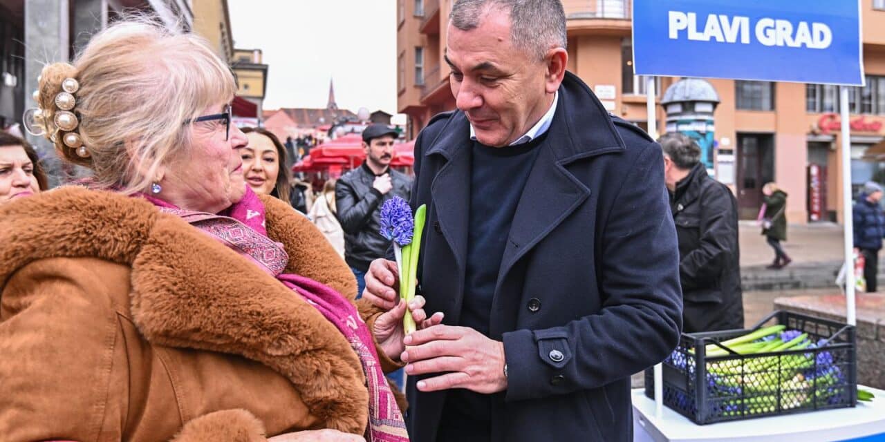 Plavi grad DIP nadzor kampanjom Vratimo grad u formu prikrivena predizborna promidžba
