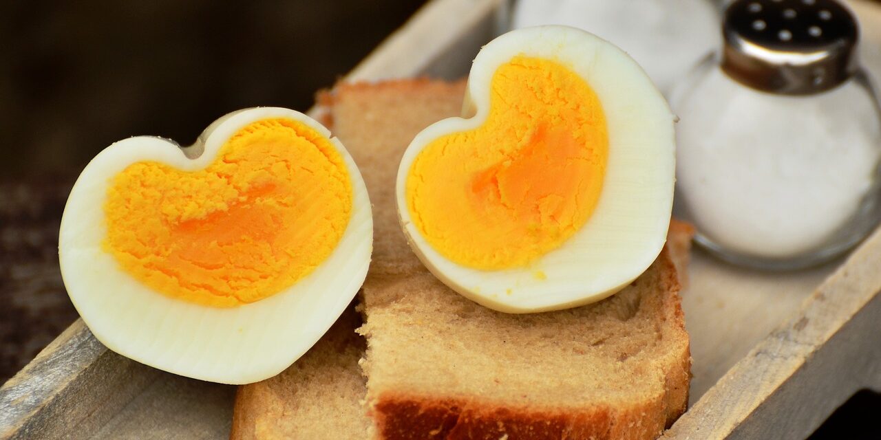 egg-1536990_1280