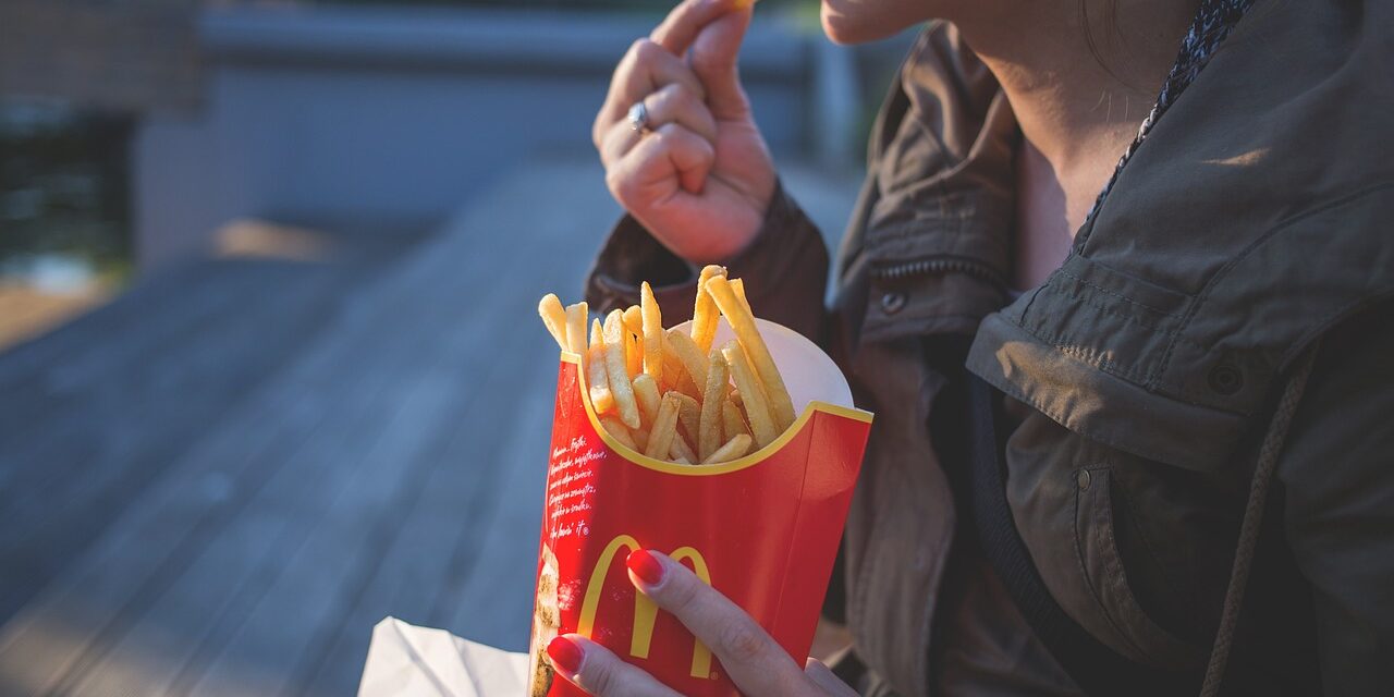 french-fries-1851143_1280