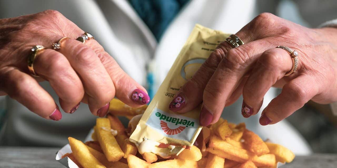 french-fries-5625412_1280