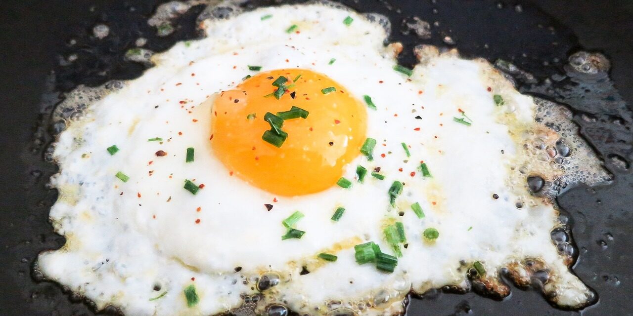 fried-egg-703904_1280