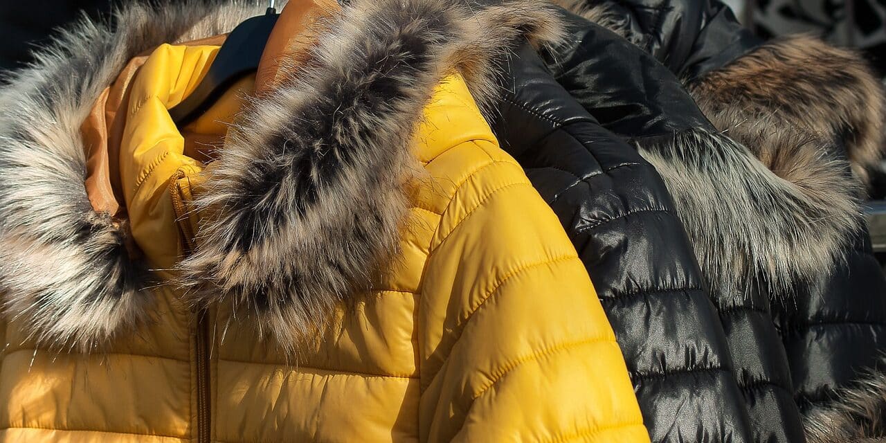 fur-3117033_1280