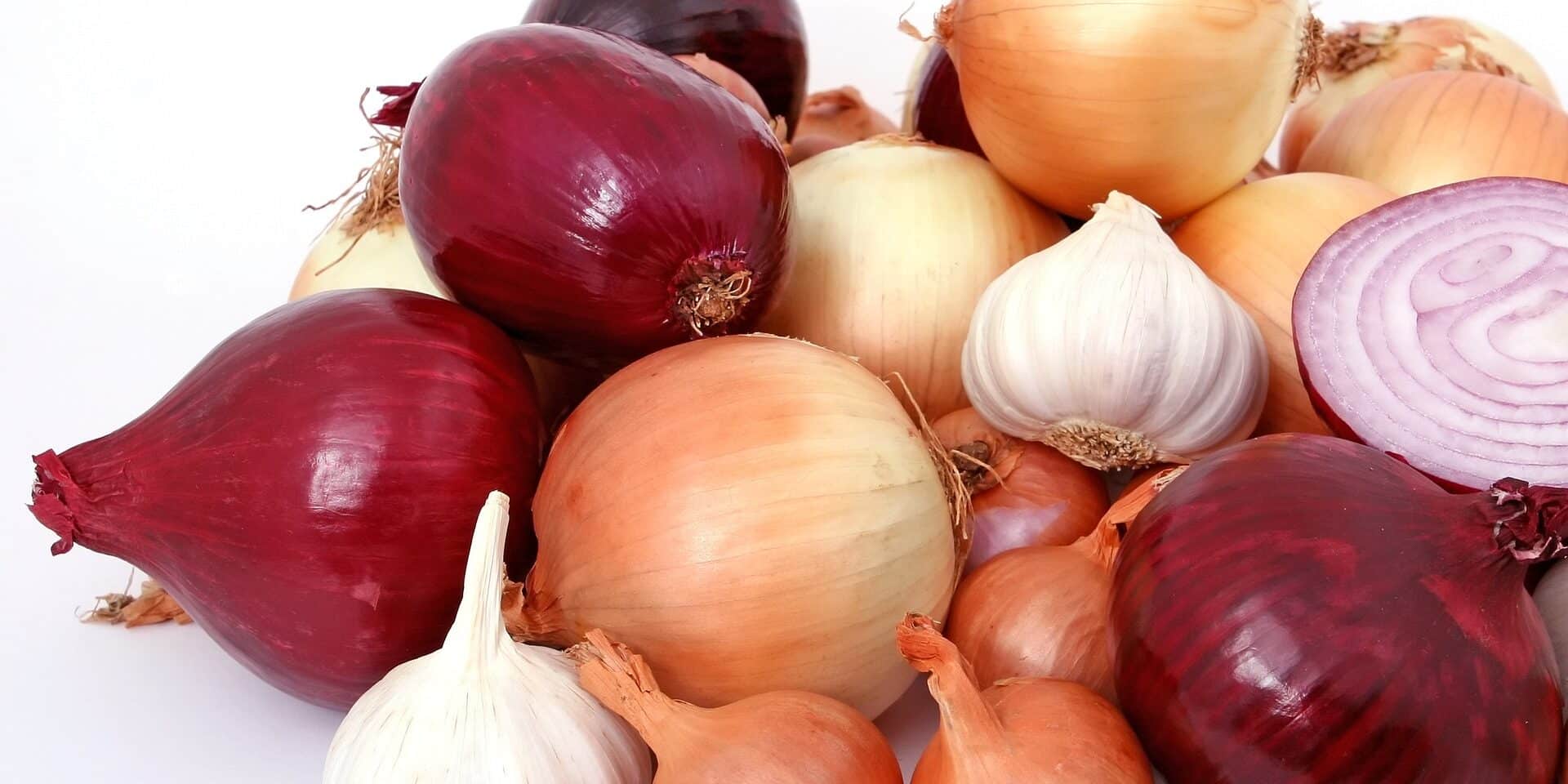 onions-1238332_1920