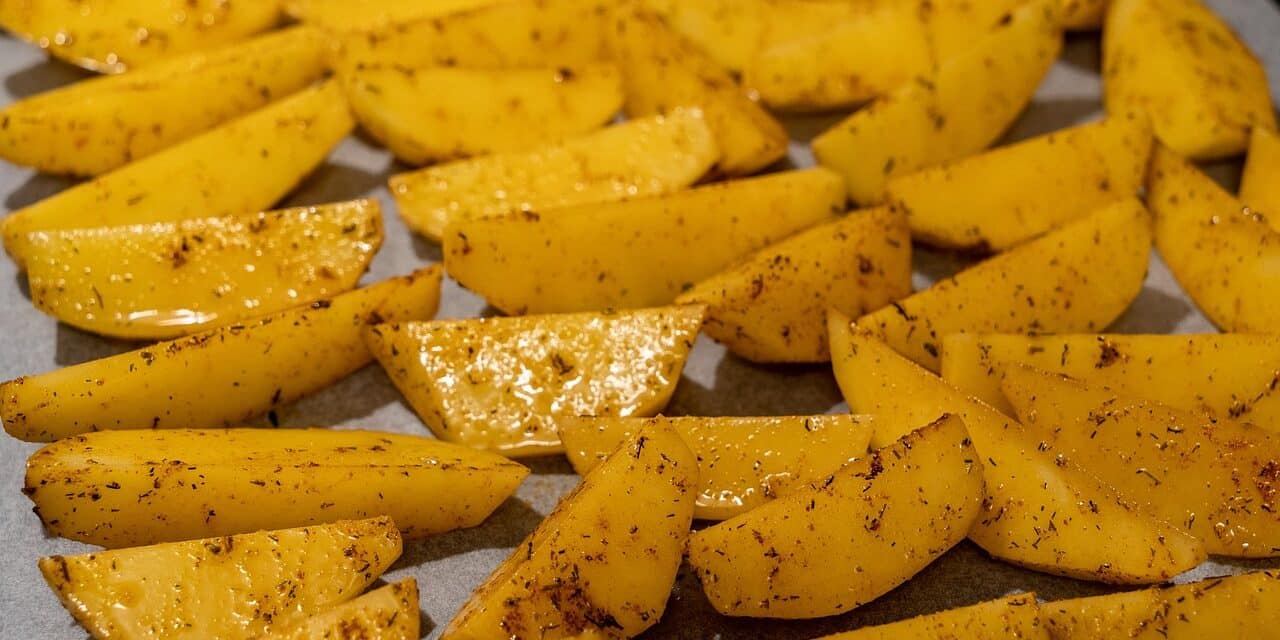 potato-wedges-6948658_1280