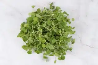 watercress-4153774_1280.jpg