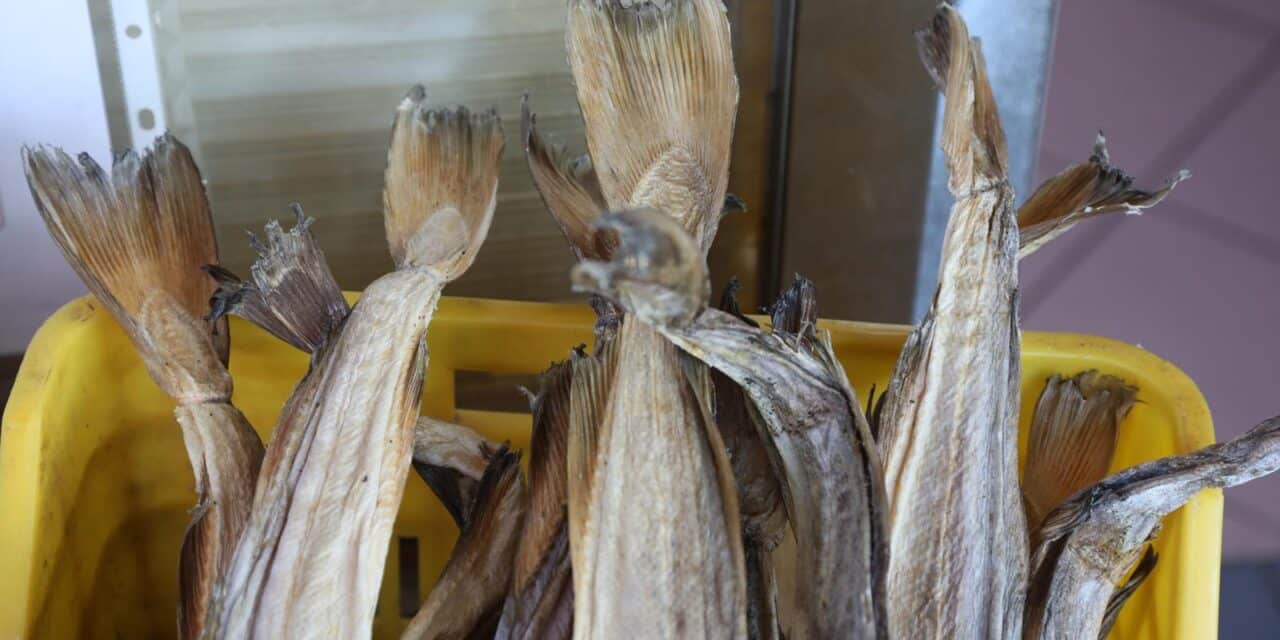 bakalar