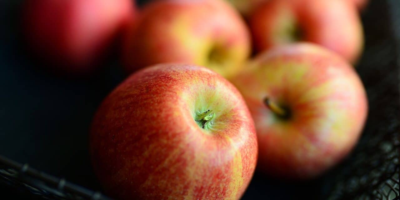 apples-6073599_1280