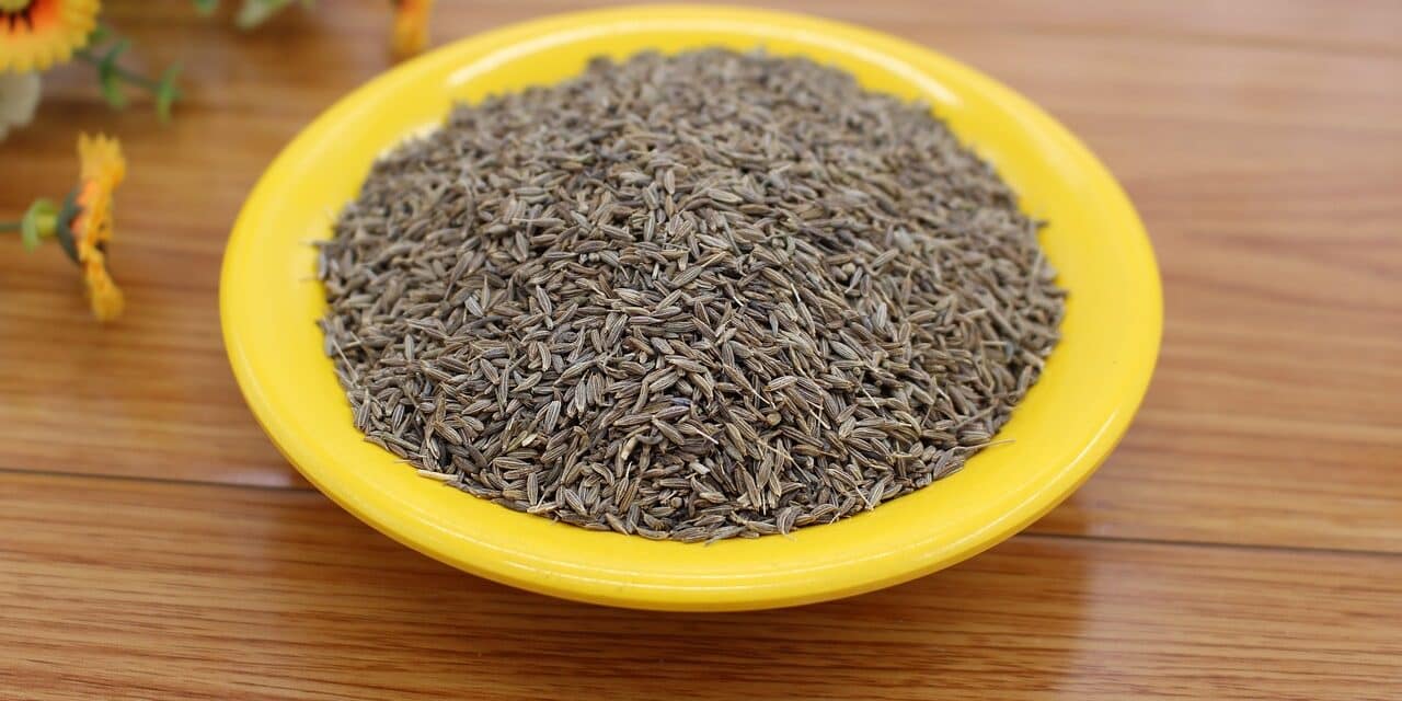 cumin-6152146_1280