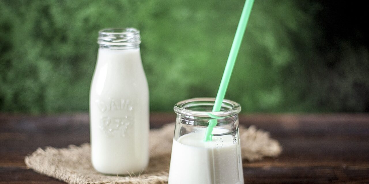 Kefir superhrana vitamini minerali hranjive tvari