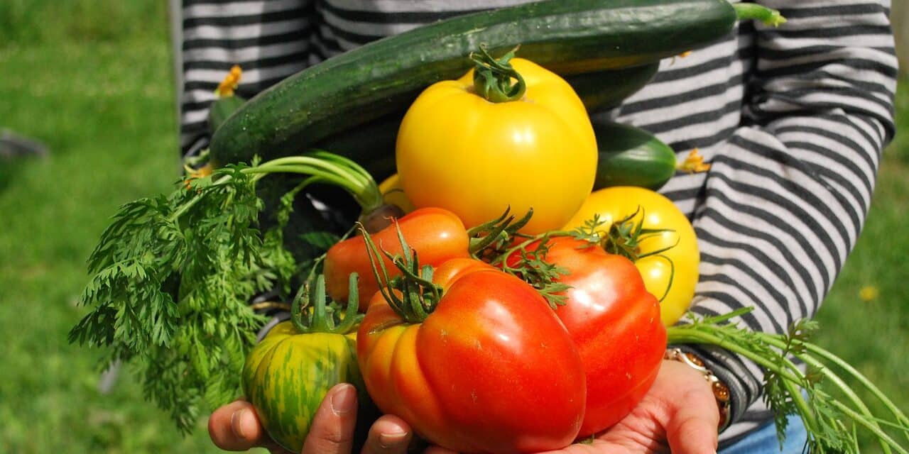 vegetables-742095_1280