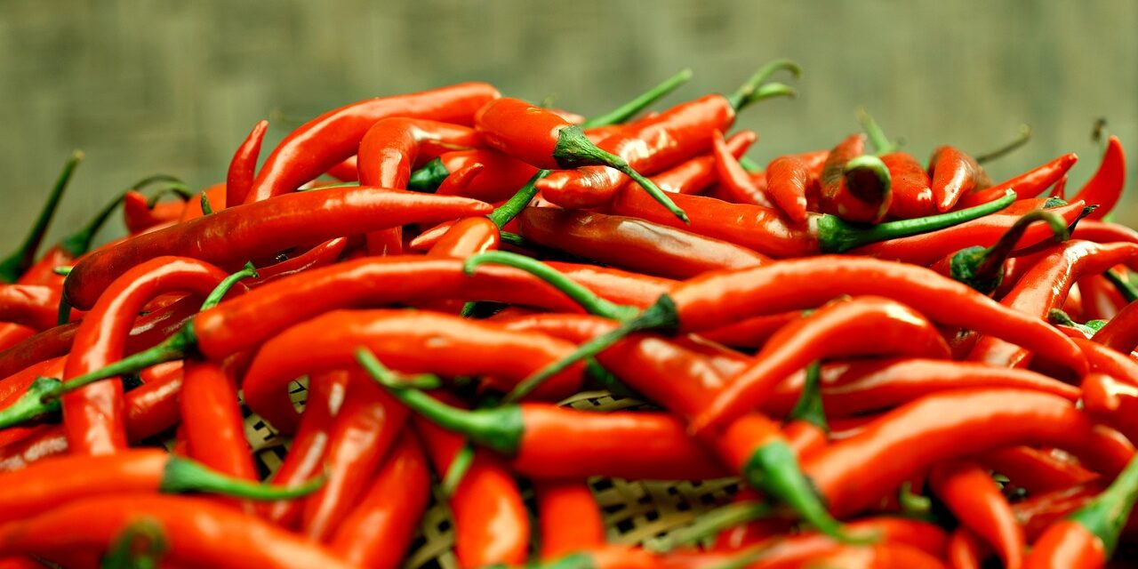 chilli-pepper-8440176_1280