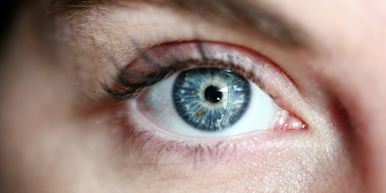 eye-3805227_1280