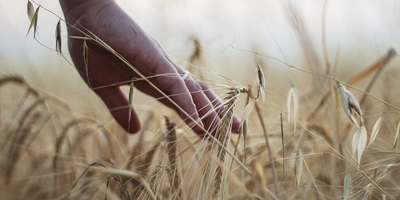hand-7330658_1280