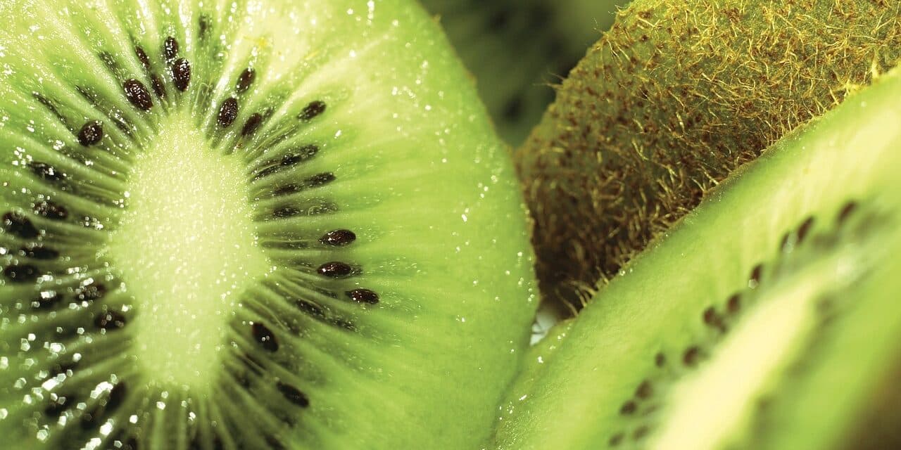 kiwi-1501009_1280