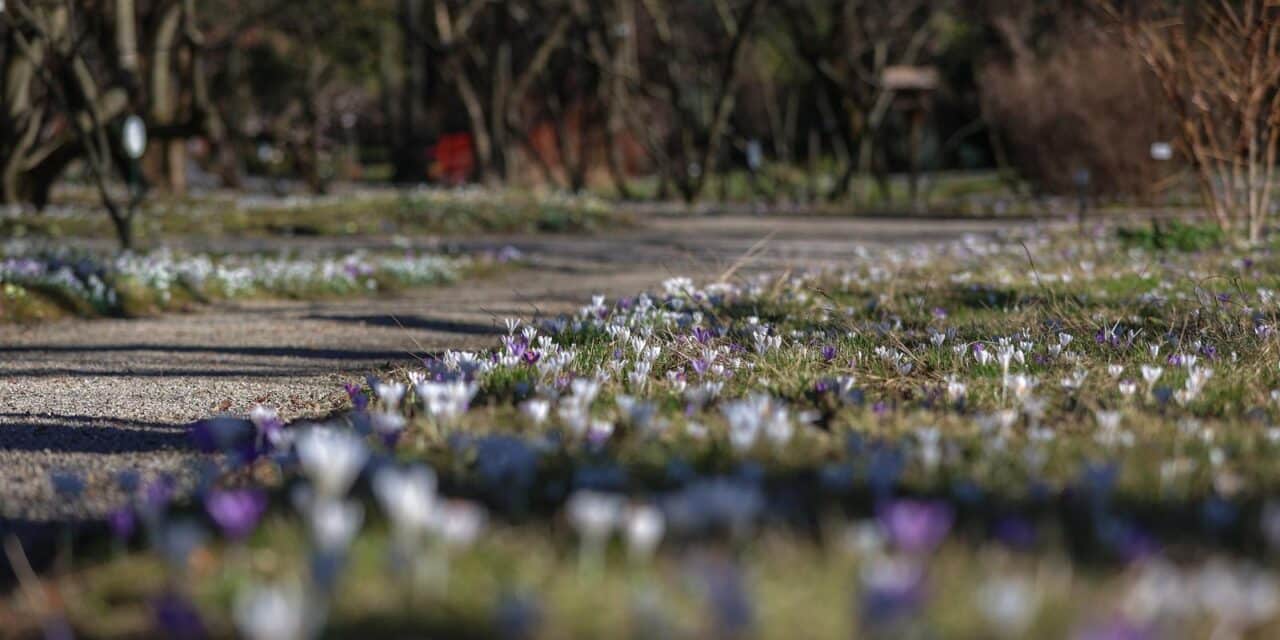 Zagreb: Botani?ki vrt otvara svoja vrata nakon zimske pauze