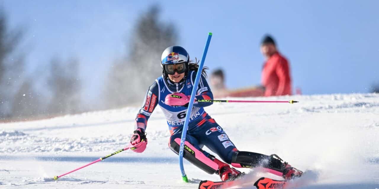 zrinka ljutić
